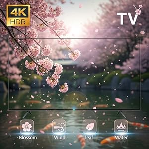 Wind Through Cherry Blossoms – Spring Calm | 4K Smart TV Background Video