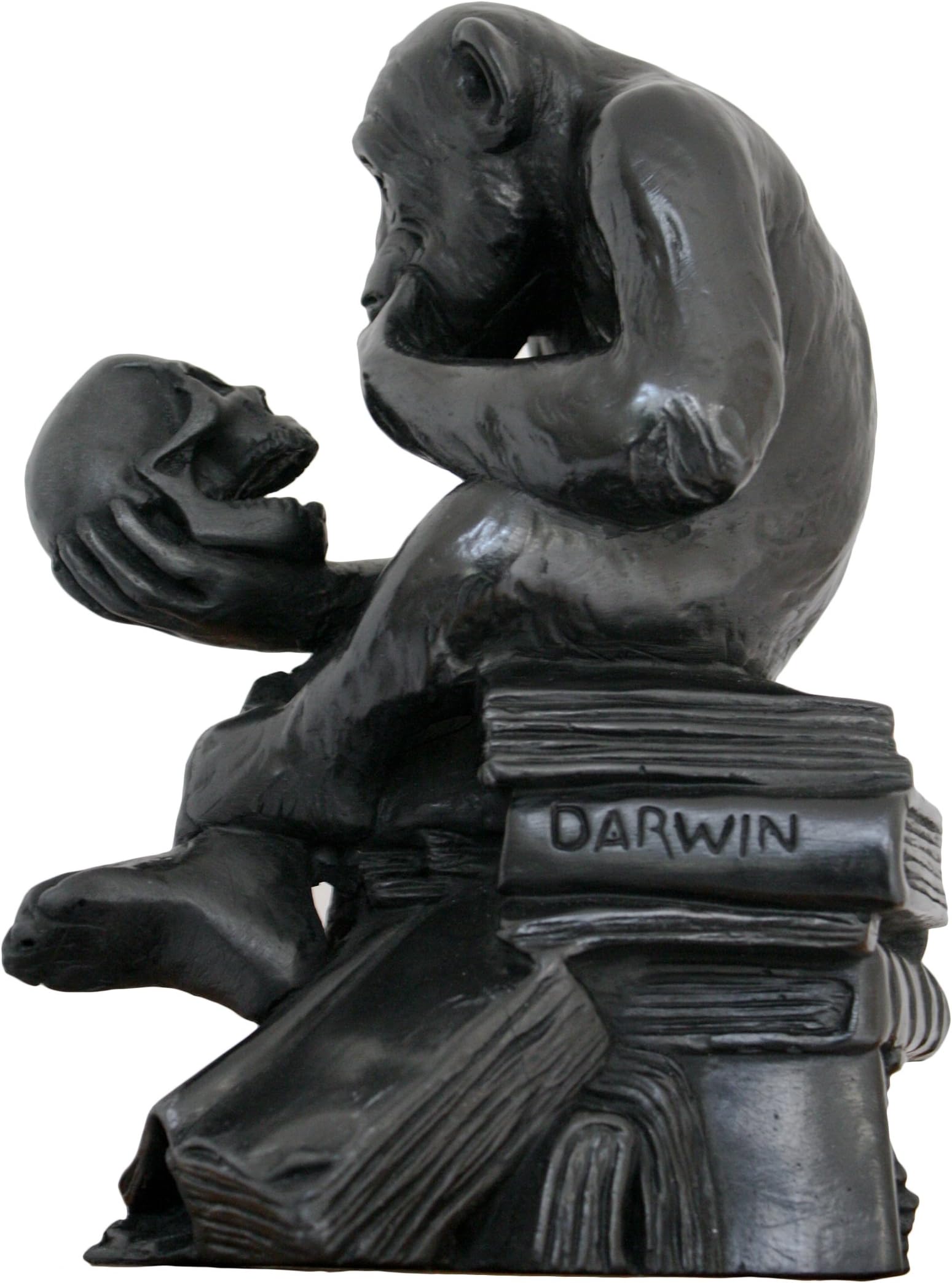Atelier H Darwin Monkey Holding a Skull Vanity Sculpture
