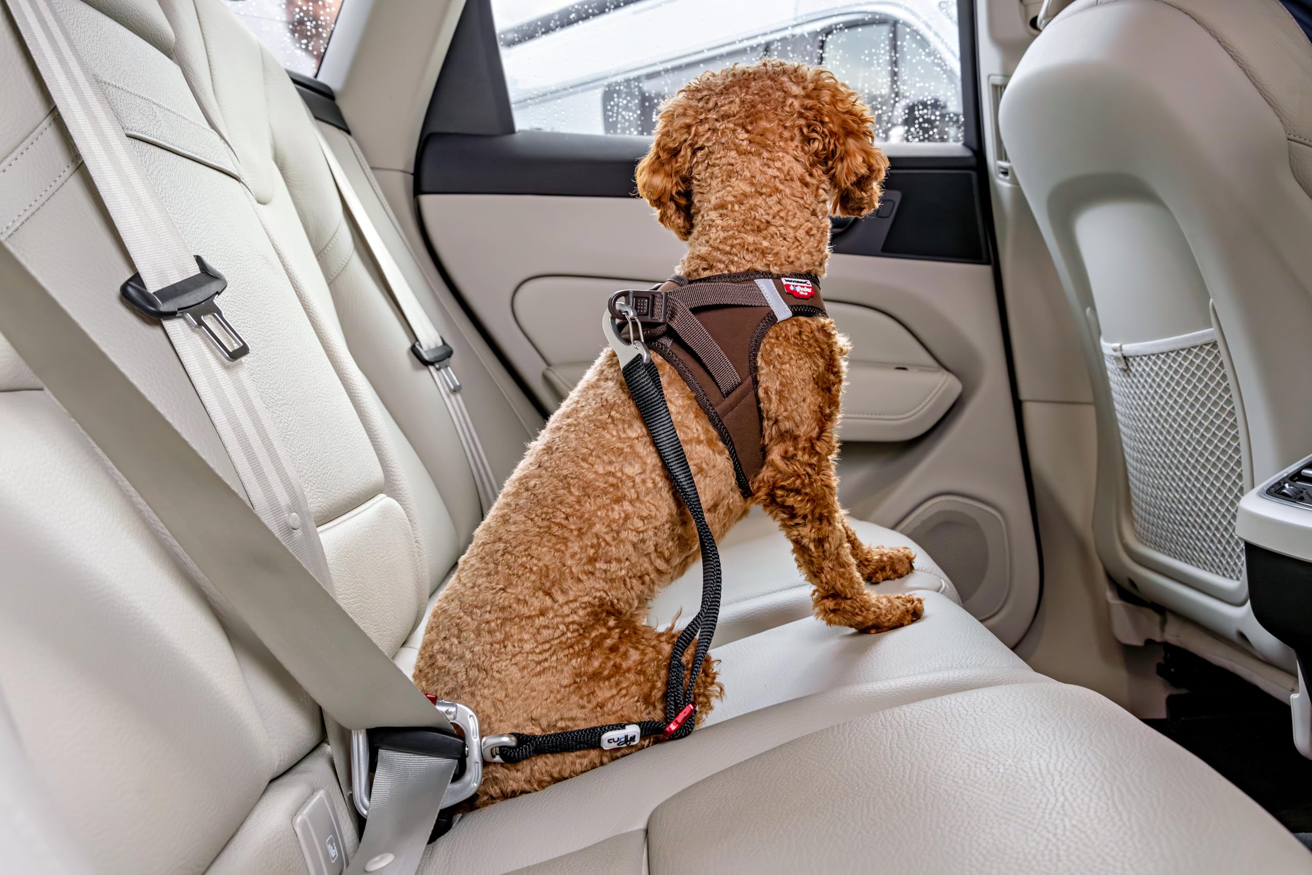 Car Safety Belt V2 L