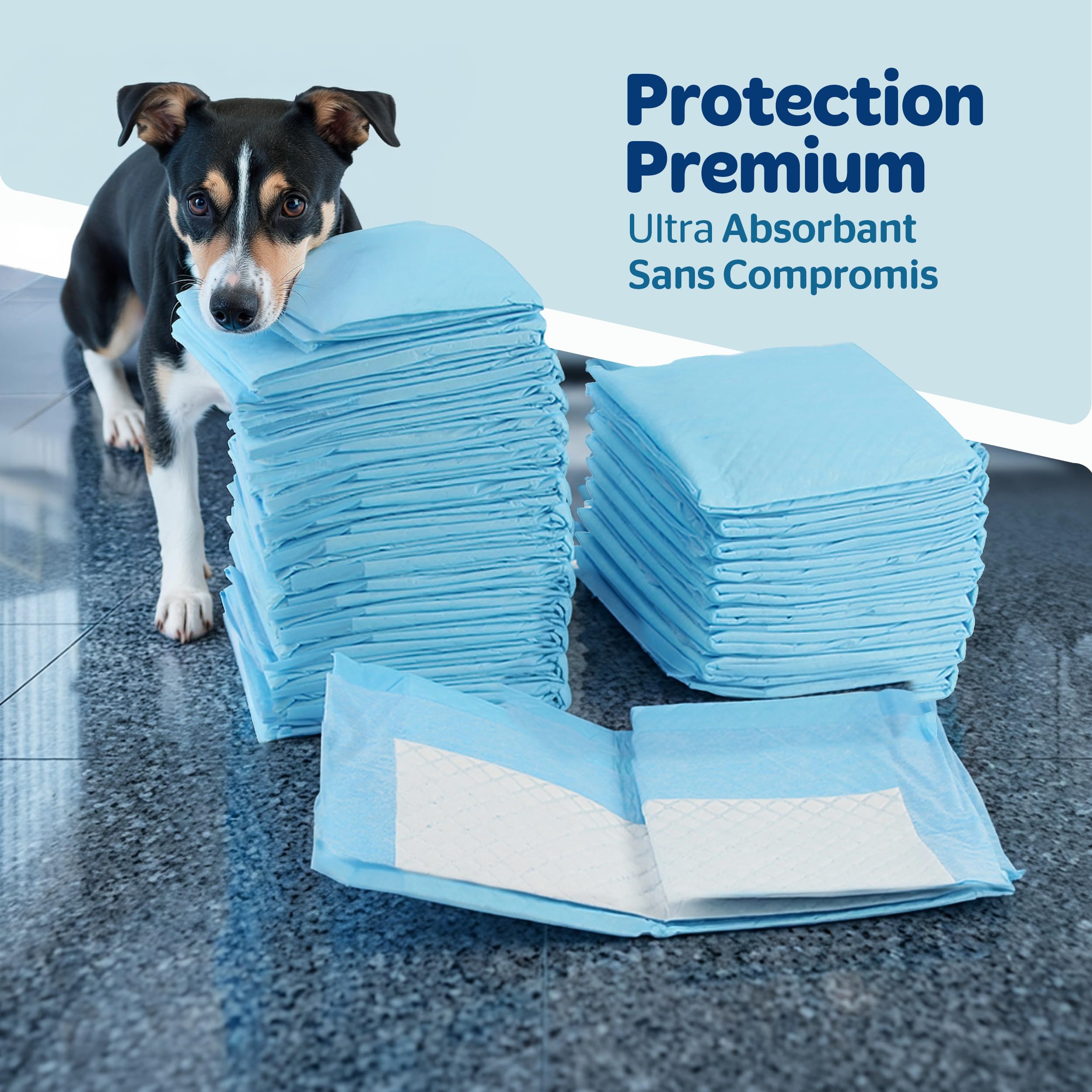 PORTENTUM Alaise pour Chien 90x60 cm 100 unités – 6 Couches absorbantes antifuite – Tapis Absorbant Chien Anti-odeurs