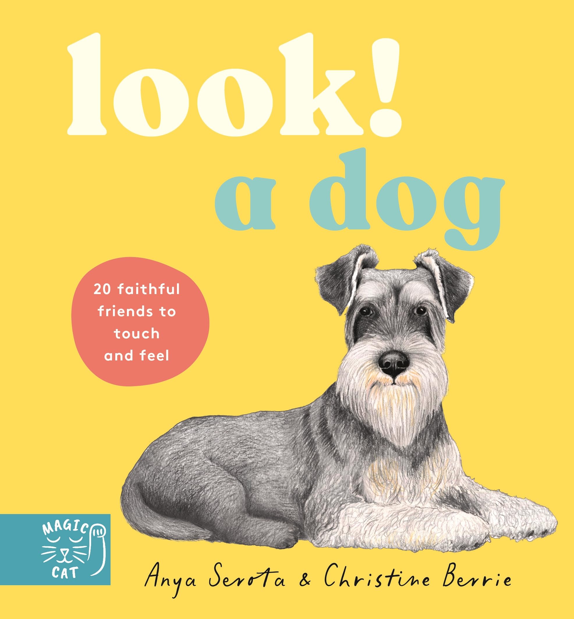LOOK! A Dog