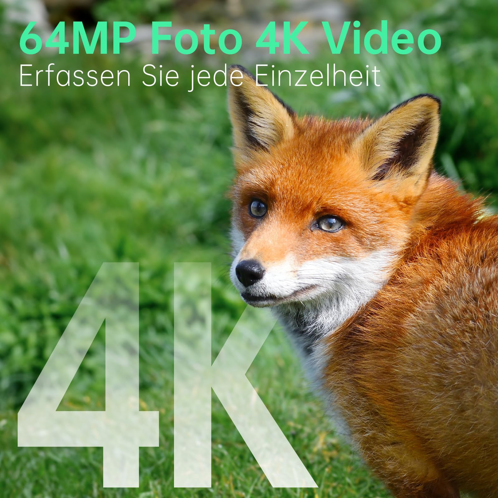 Hrivcam 4K 64MP Wildkamera mit Handyübertragung APP, Solar WLAN Bluetooth Eingebaute 5000mAh, 64GB Speicherkarte, Wildkamera mit Bewegungsmelder Nachtsicht, IP67 Wasserdicht 130°Weitwinkel