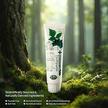 Dentiste' 100/100 Natural Peppermint Toothpaste 100g (Pack of 1)