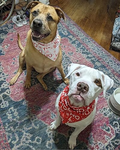 Miniatura 7 de Pañuelos para perro del día de San Patricio bandanas para cachorros bufanda para fiesta de mascotas pañuelo triangular para perros de raza pequeña