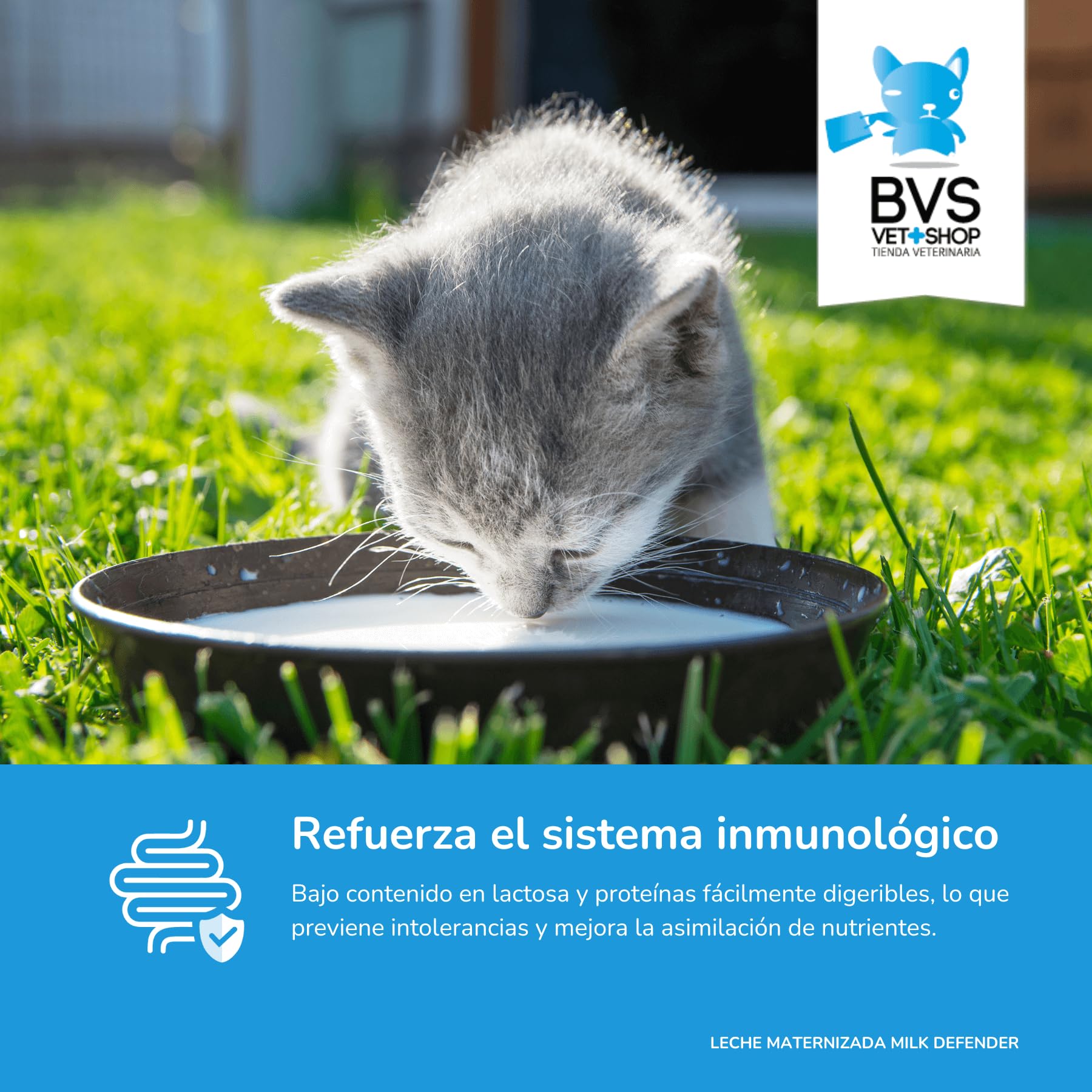BVS Vet Shop | Leche Maternizada para Gatos Milk Defender | Alimento Completo de Lactancia para el Cuidado Integral de Gatos Cachorros | 1 unid. x 140 gr