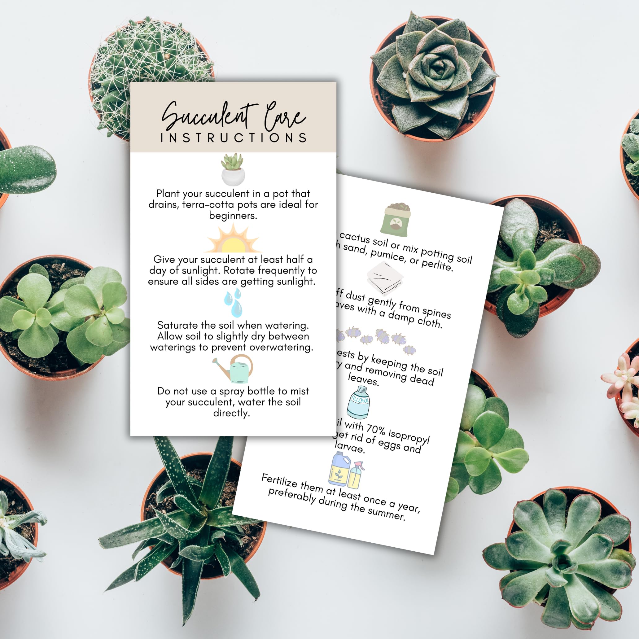 Amazon.com: Succulent Care Instruction Cards with Icons 50pk 2x3.5 Home  Propagated Plants for Sale Client Care How to Water Kit Plant Tags Labels :  Office Products