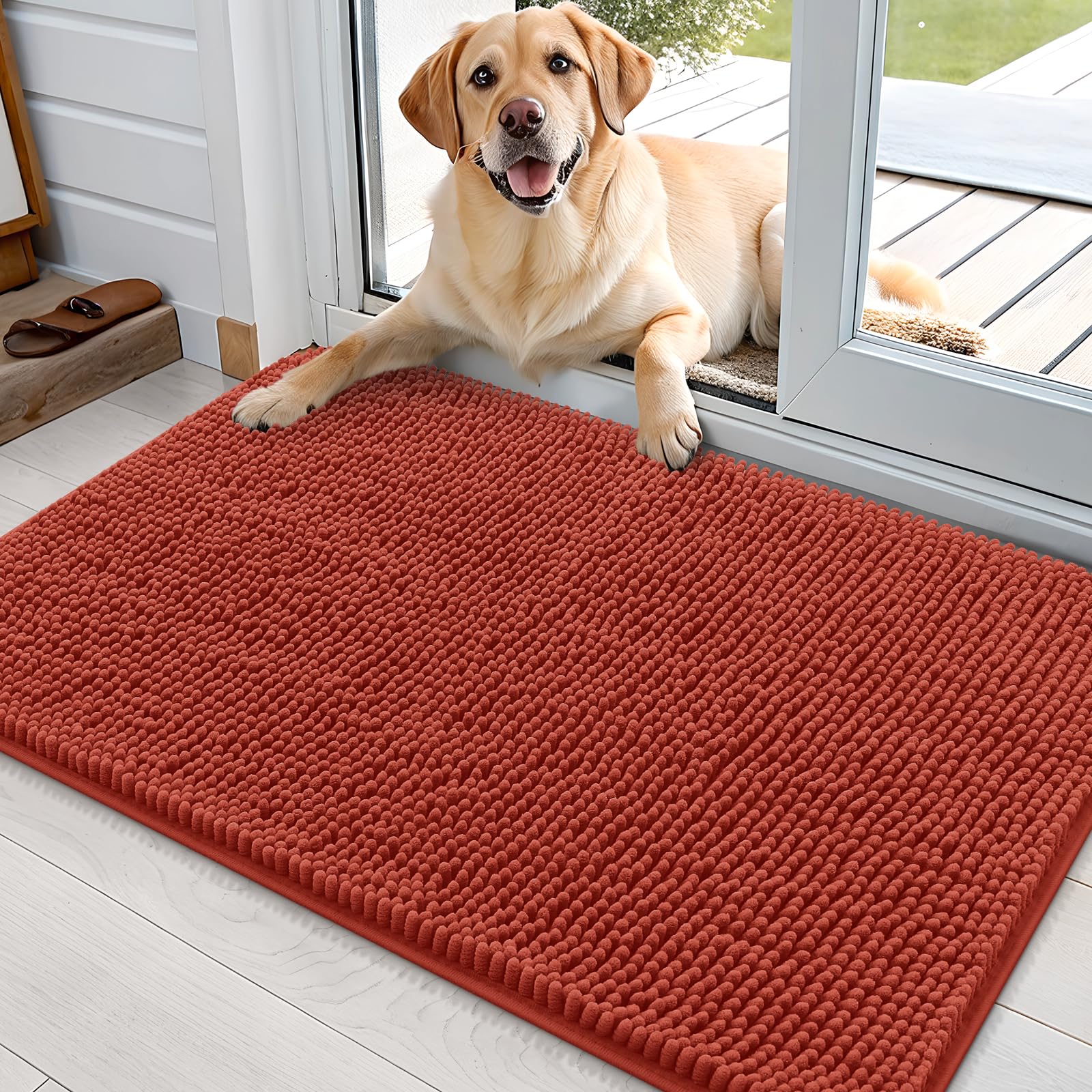 OLANLY Dog Door Mat for Muddy Paws 36x24, Super Absorbent Chenille Mud Mat