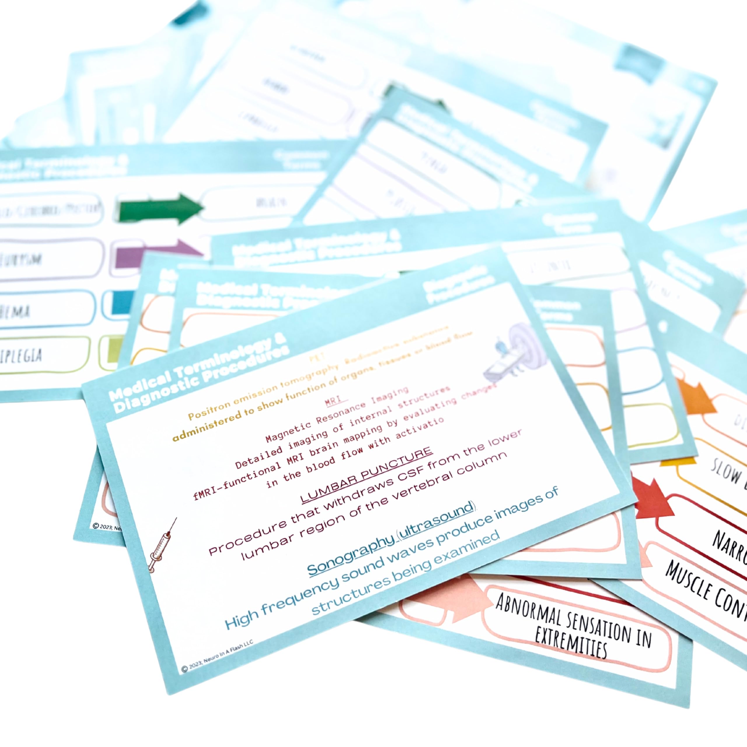 Medical Terminology EEG Flashcard Deck | END Study Guide | EEG School Supplies | Neurophysiology Education Resources | ICU Neurology Critical Care Terms EEG Pattern Definitions Anatomical Direction - Image 8