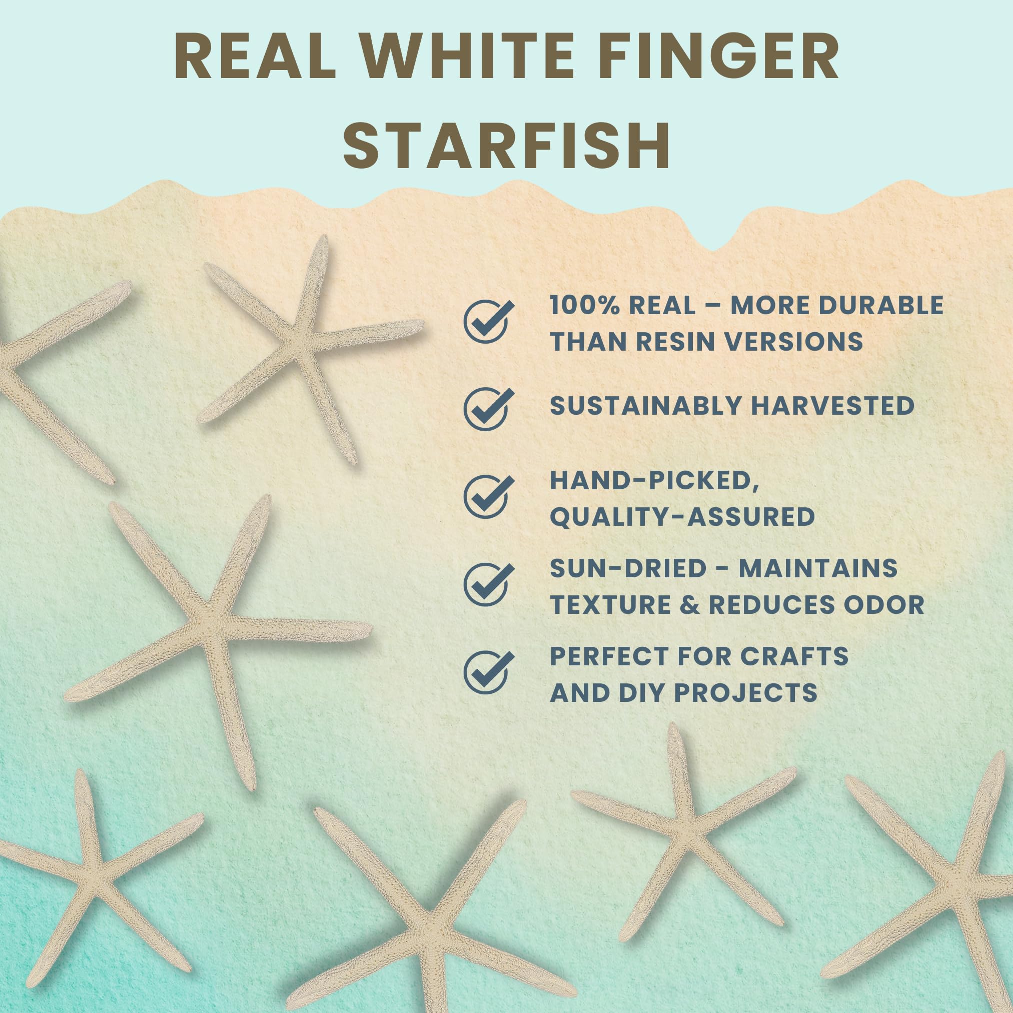 Starfish Decor - Star Fish for Craft - 30pk Uniquely Shaped 2-5