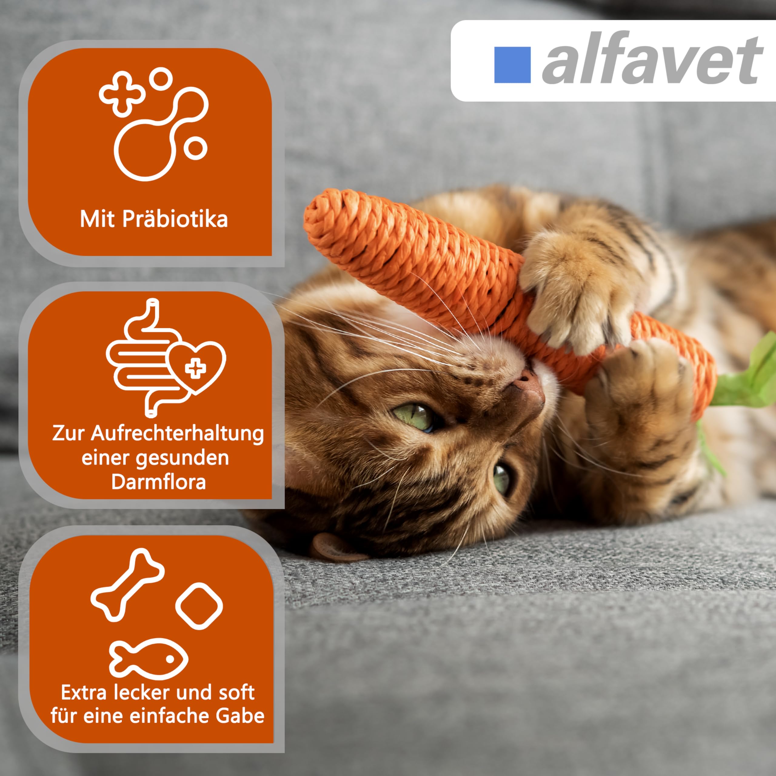 alfavet FeliGum Dia, complément Alimentaire en Cas de diarrhée pour Chats, Troubles de la résorption intestinale, pastilles à mâcher, Sachet de 40 g