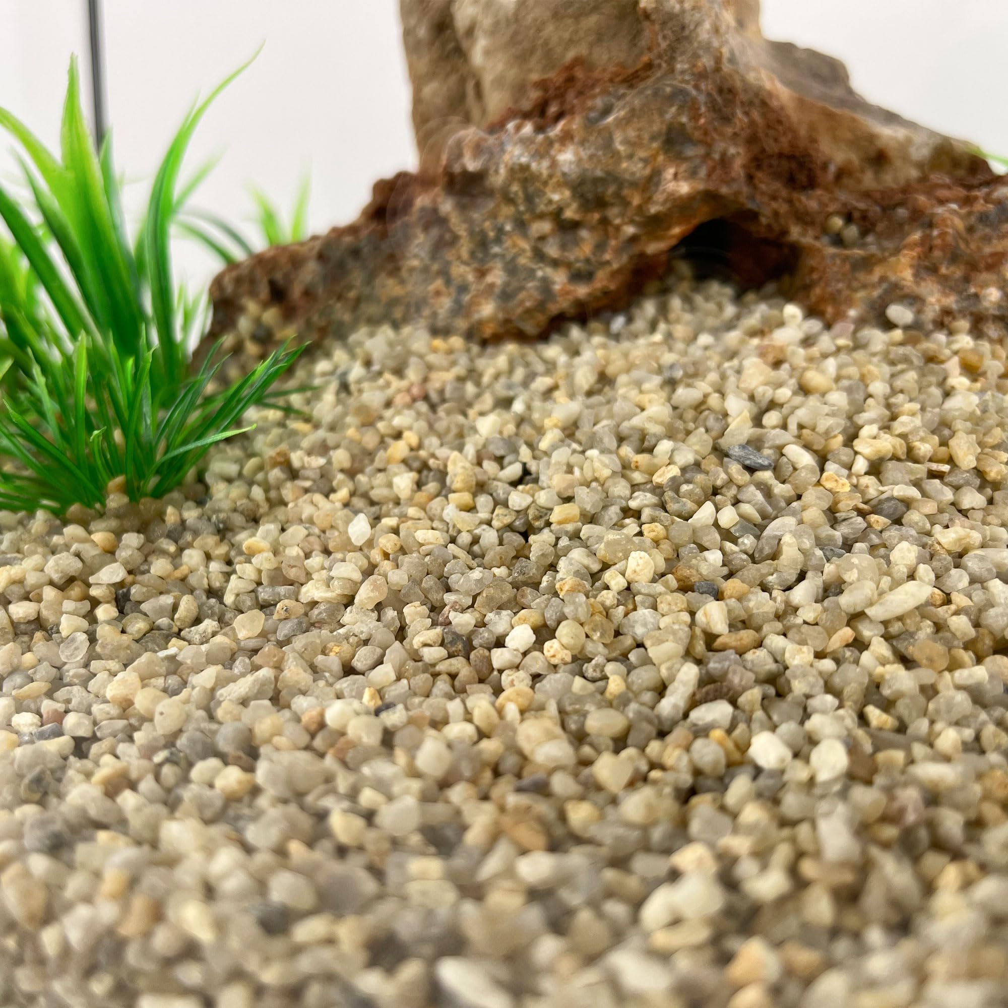 Schicker Mineral Aquariumkies beige 10 kg, grober Aquariumsand gewaschen, ungefärbt, kantengerundeter Bodengrund, Kies für Süßwasseraquarien, Meerwasseraquarien, Aquascaping (ØKörnung: 2,0-3,15 mm)