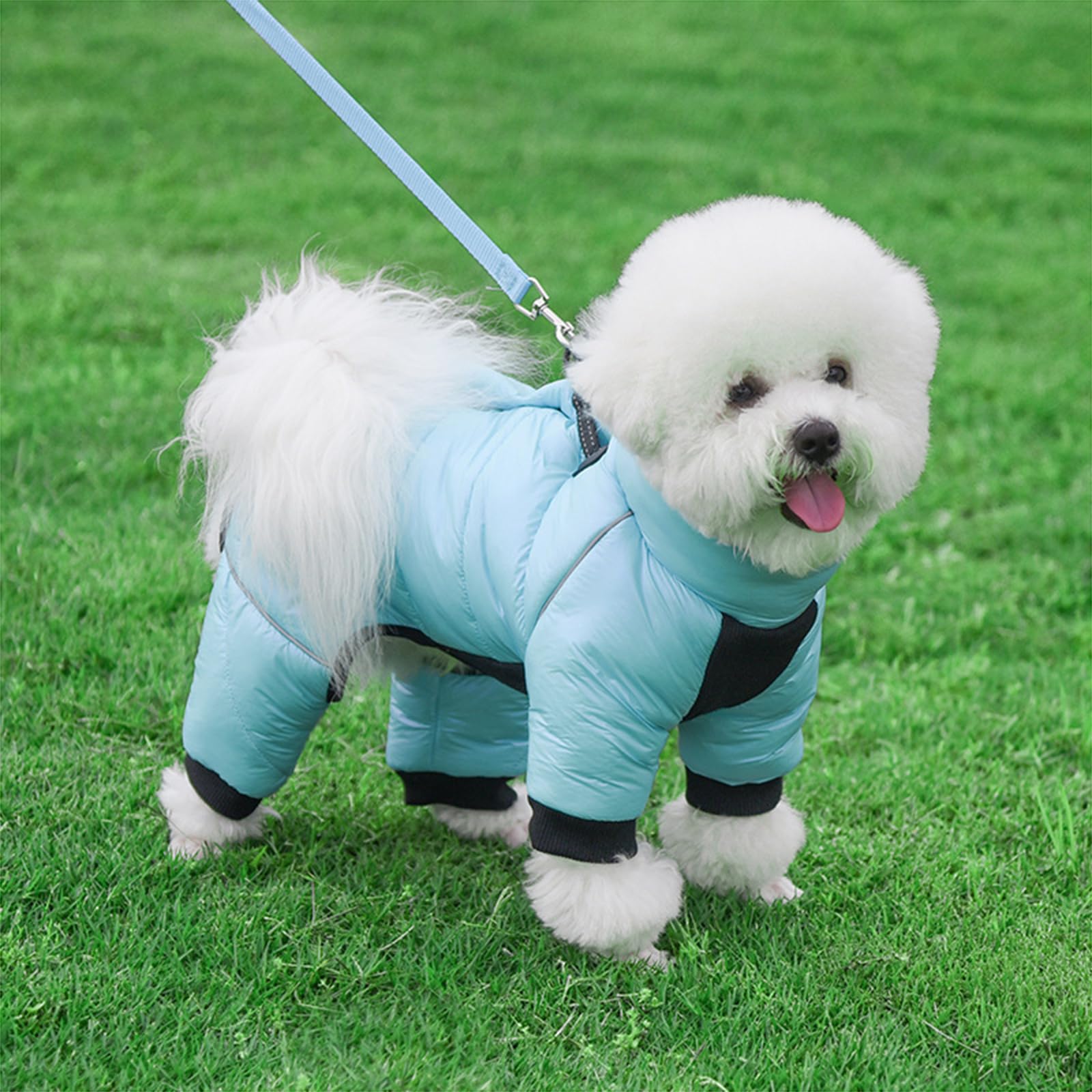 Cappotto Cane Taglia Piccola Cappotto Cane Impermeabile con Strisce Riflettenti Autunno E Inverno Gilet per Cani Antivento E Caldo Cappottino Imbottito per Cane