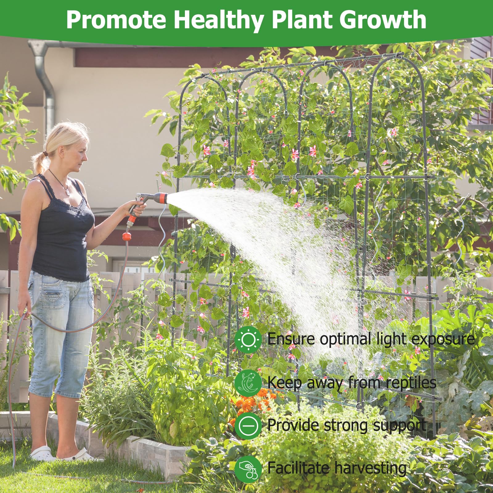 HOMASIS Treillis pour Plantes grimpantes, Support grimpant avec Tube Acier, revêtement Plastique, Maille PP, Facile à Installer, Treillis pour Plantes, Fruits et Fleurs (Arche)