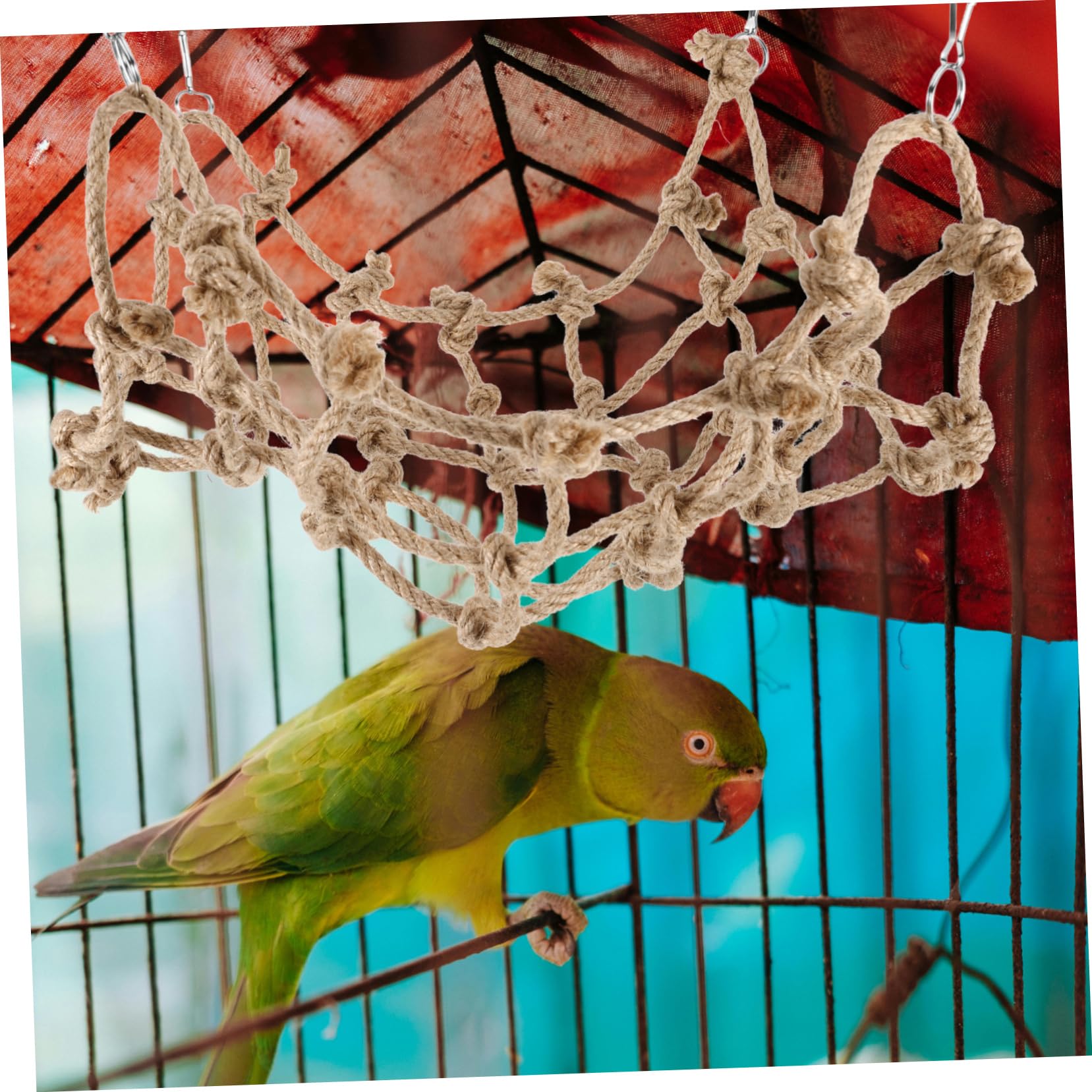 BESPORTBLE 5st Kletternetz Für Haustiere Kletterspielzeug Für Vögel Zubehör Für Vogelkäfige Papagei Kletter-Bungee-Leiter Sittichnetz Vogel-kletternetz Umweltfreundliches Strohhanfseil