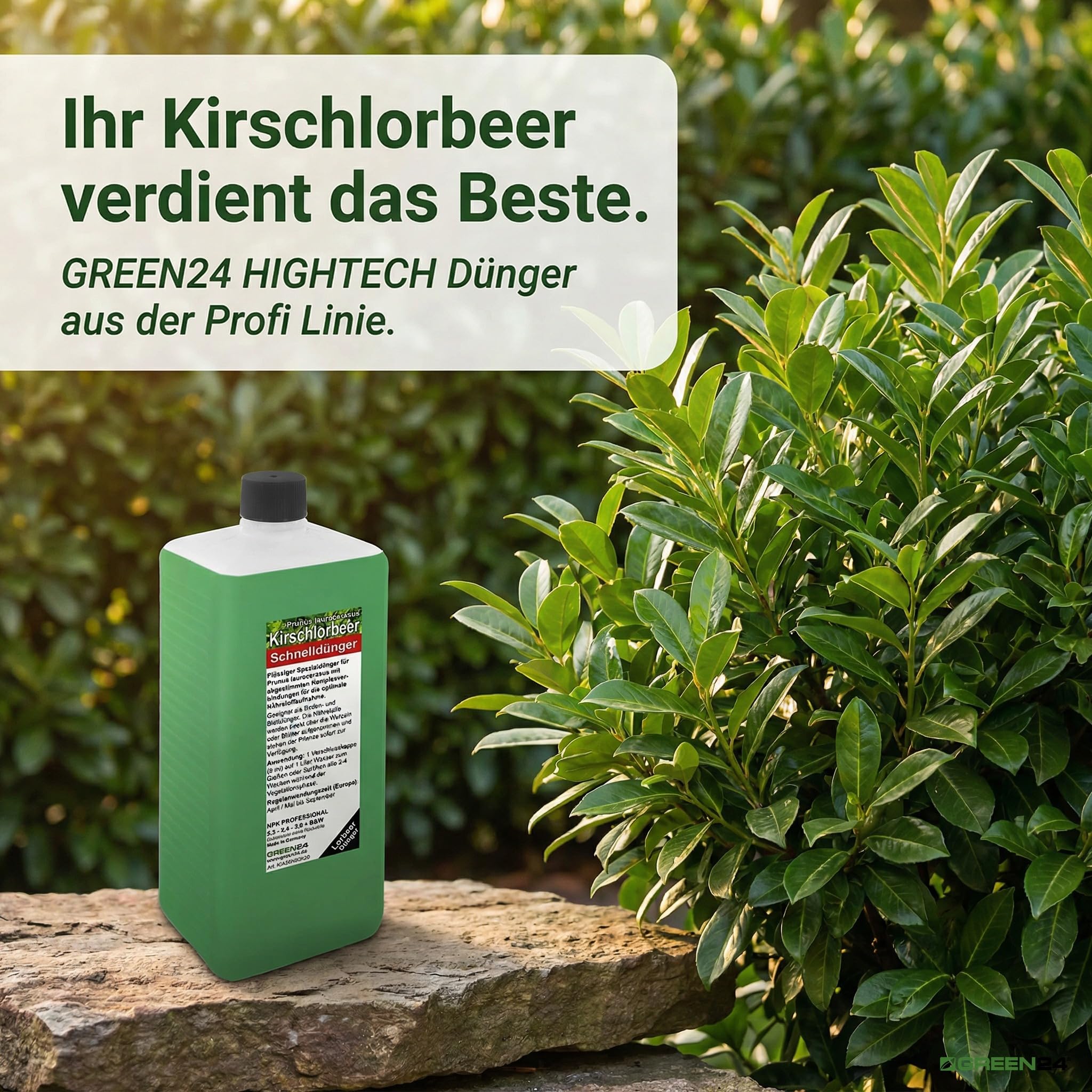Kirschlorbeer Dünger XL Profi Linie 1 Ltr. zum düngen von vielen Prunus laurocerasus Pflanzen, HIGHTECH Flüssigdünger für Lorbeer Hecken und Kübel