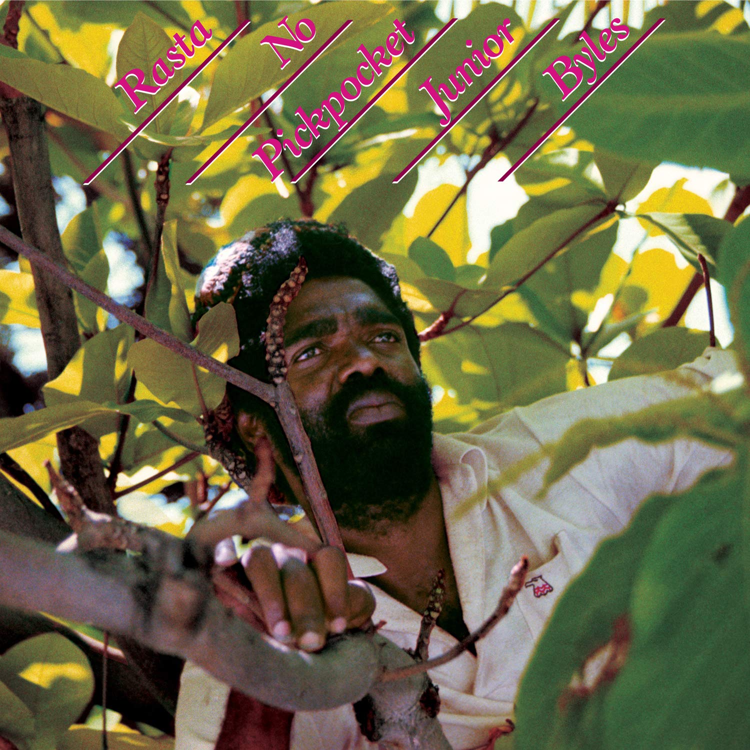 Rasta No Pickpocket [VINYL]