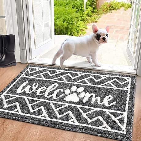 Front Door Mat - The Perfect Addition to Your Home Décor for Clearance Sales Today