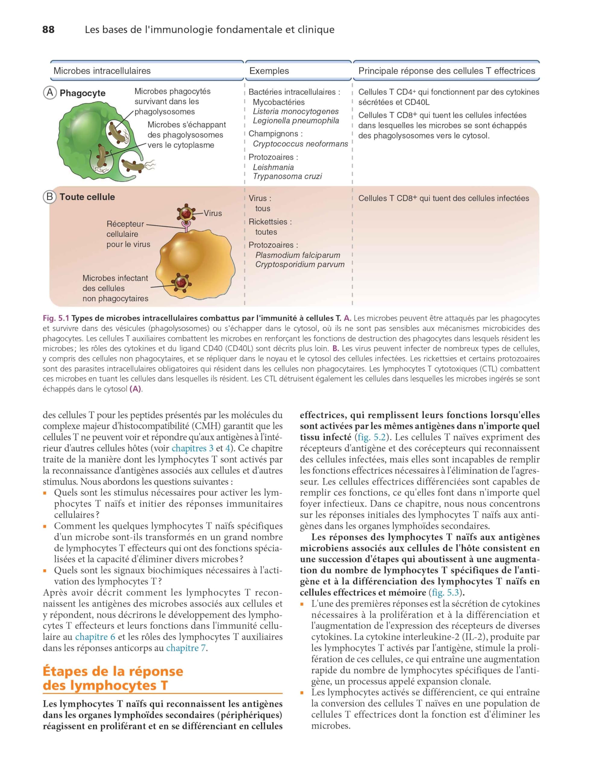 Les bases de l'immunologie fondamentale et clinique