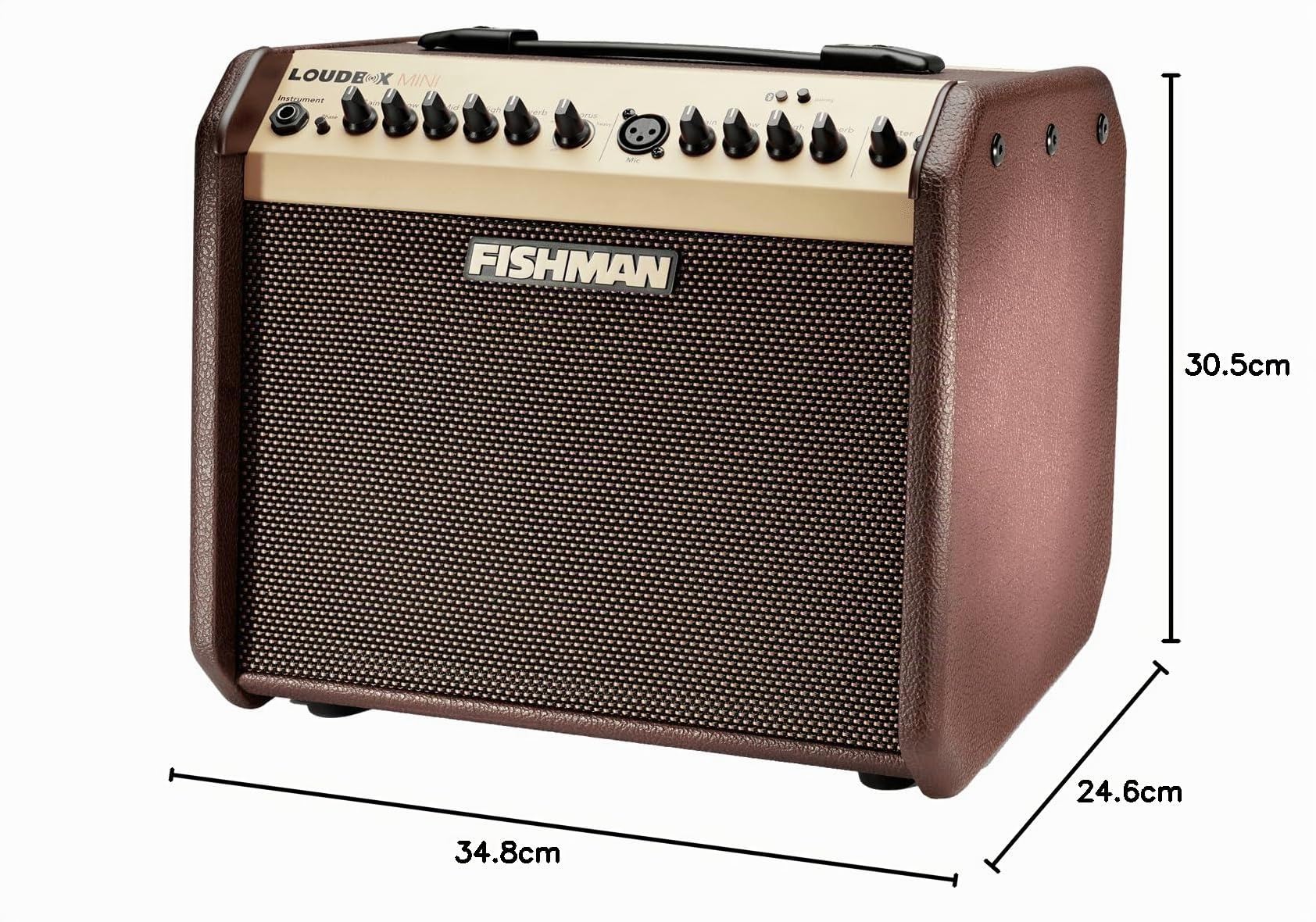 FISHMAN Ampli Loudbox Mini, 60W, Bluetooth, 305 x 349 x 247mm, 8,90 kg