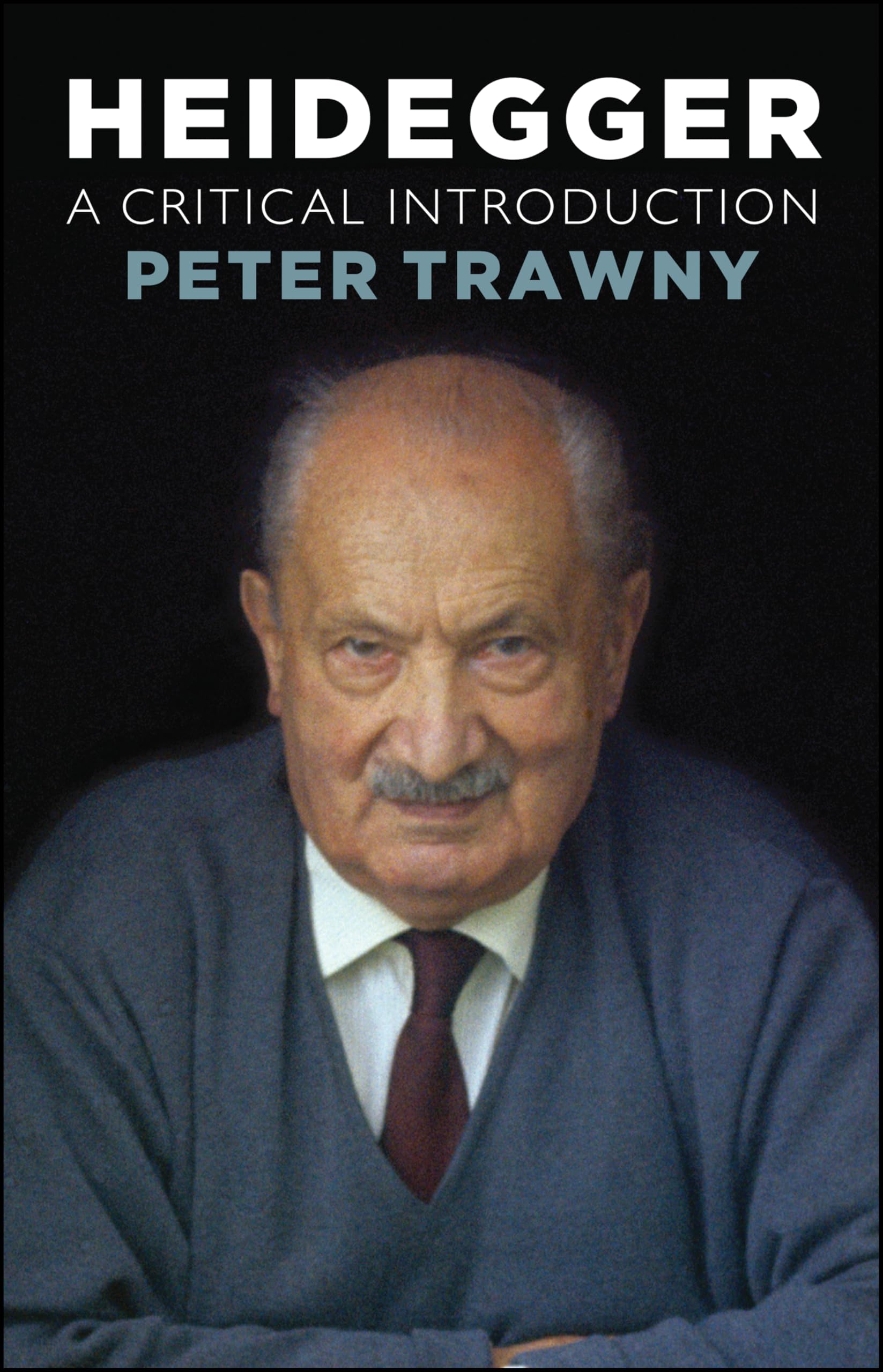 Buy Heidegger: A Critical Introduction — BookShops.in