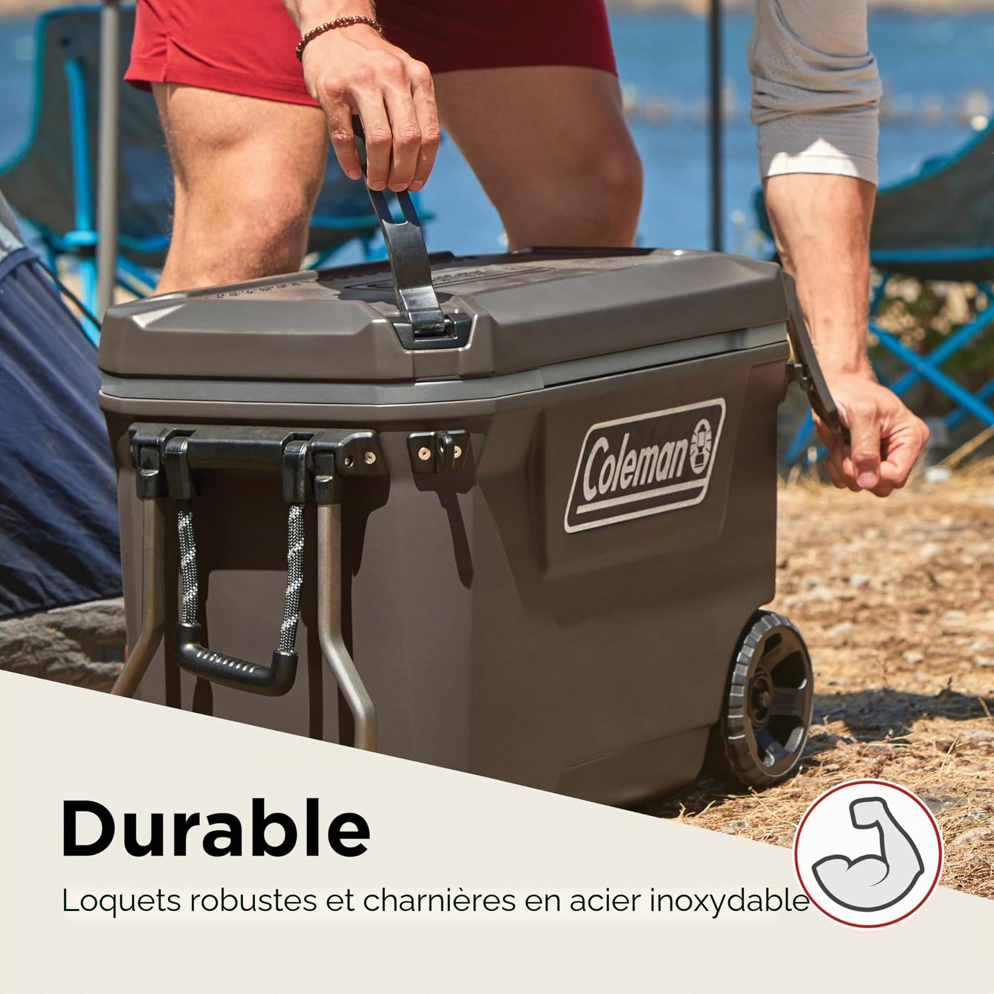 Coleman Convoy Glacière | Capacité 27L-62L | Contient la Glace Pendant 2-4 Jours | Isolation entièrement en Mousse | Grande glacière Portable pour Une Utilisation Robuste en extérieur