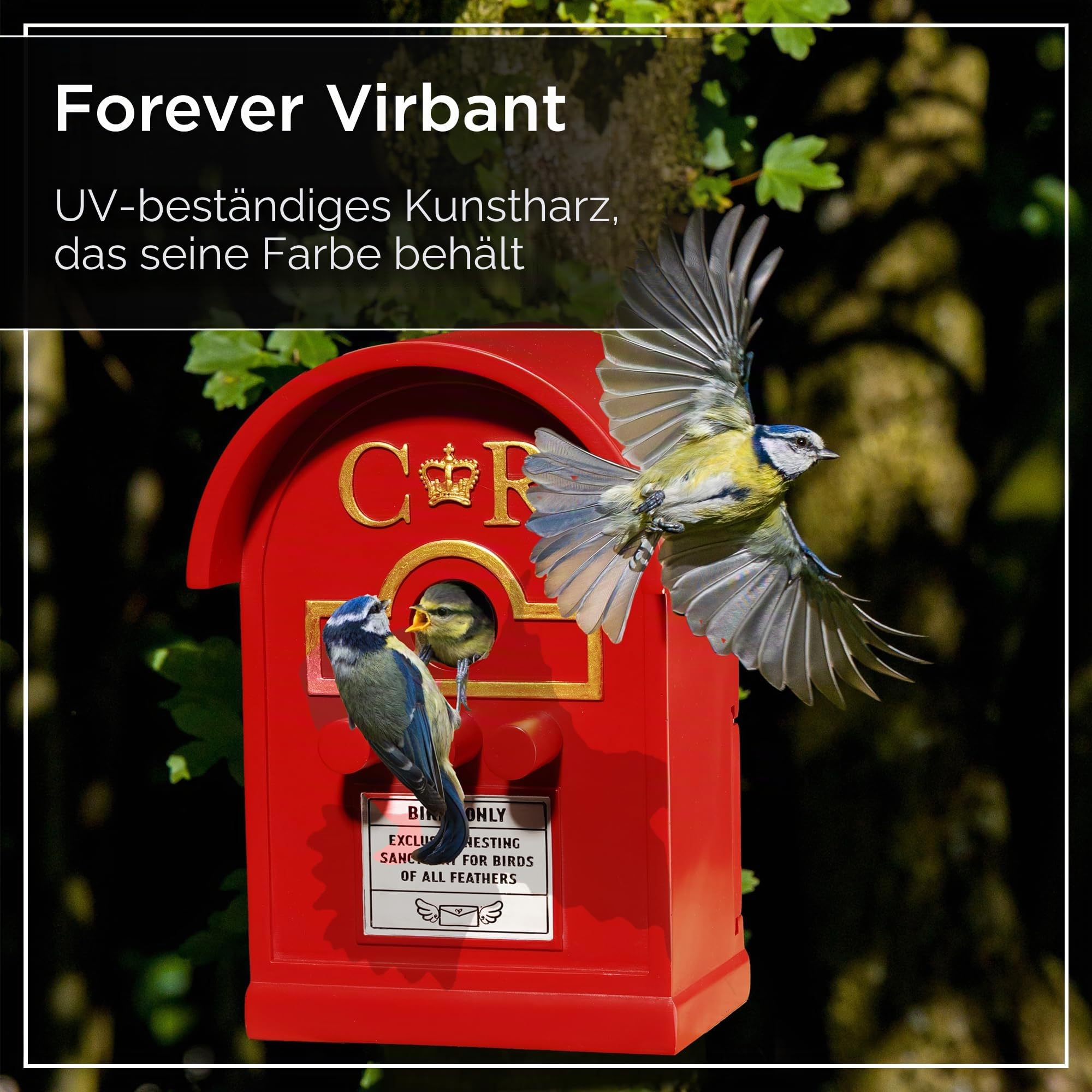 Wrenbury Briefkasten Vogelhaus für kleine Vögel - Hängender Nesting Briefkasten Vogelkästen für Garten - Wetterbeständiges Harz - Wandmontage