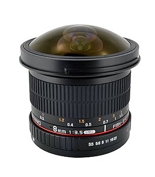 Amazon.com : Rokinon 8mm f/3.5 HD Fisheye Lens for Sony E