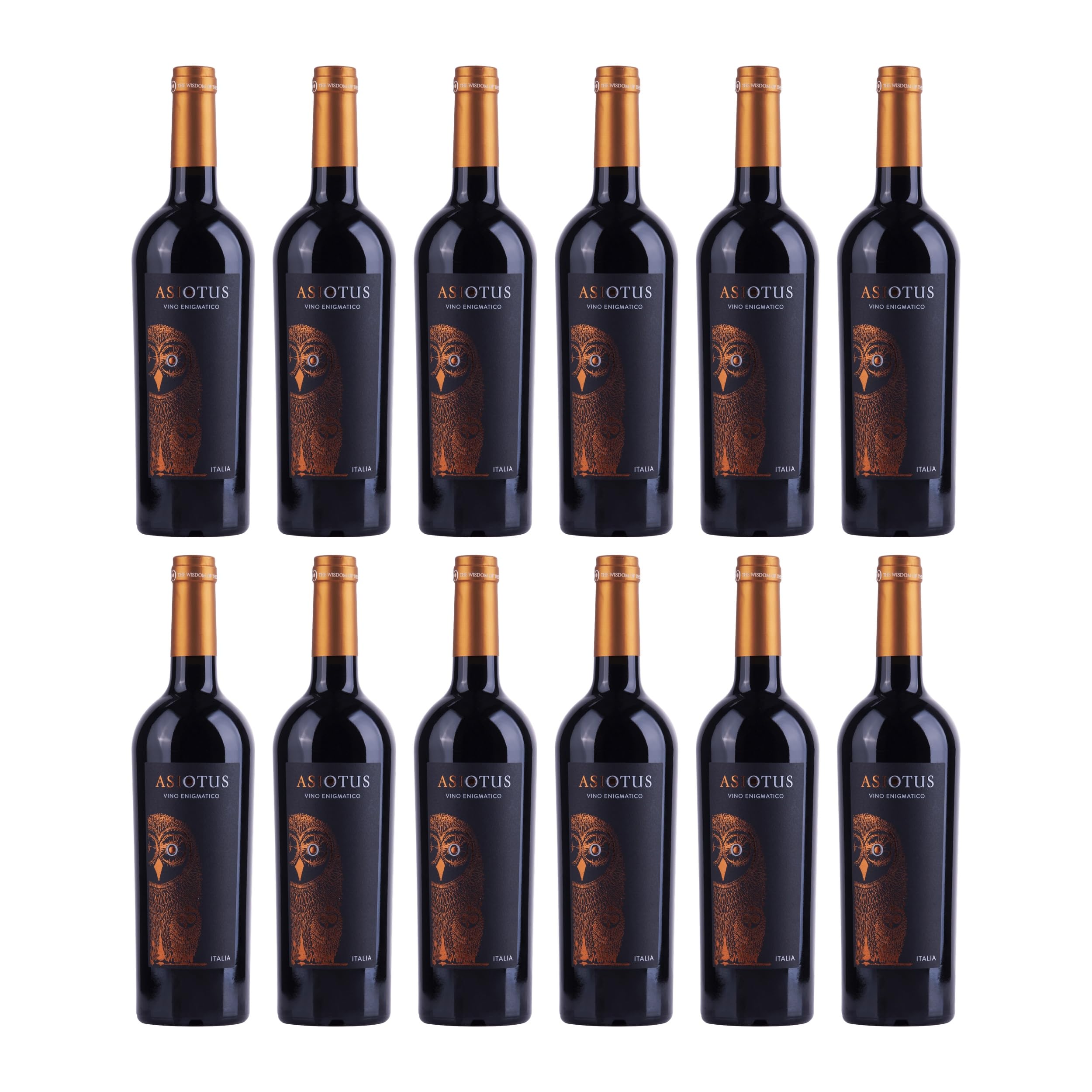 Asio Otus Rosso Vino varietale d'Italia Rotwein Rot lieblich VEGAN Italien inkl. FeinWert E-Book (12 x 0.75 l)