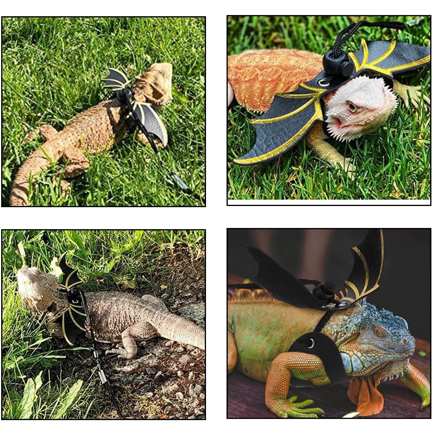 2 pièces Laisse Traction Aile Lézard, Laisse Lézards avec Aile, Harnais Cuir Souple Amphibiens, Harnais D'aile Cuir Reptile, pour Animaux Reptiles Petite, Moyenne et Grande Taille (Or, Argent)