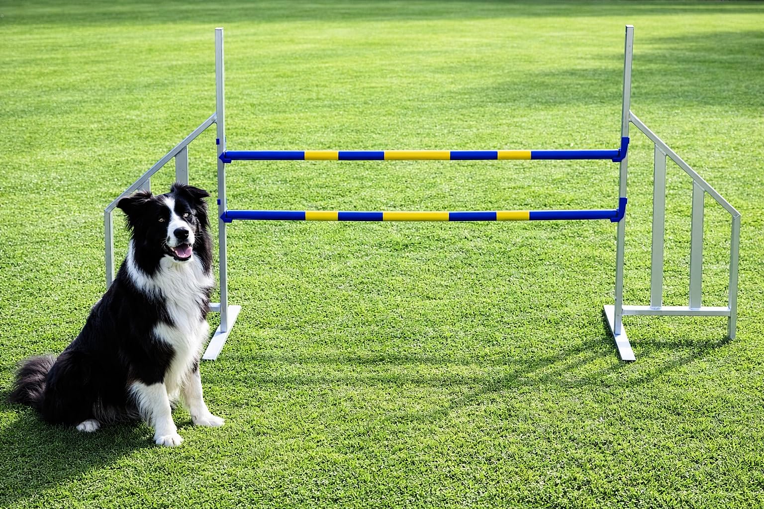 Agility ALU-Hürde für Hunde Profi-Training-Set FCI konform - Agilität Fitness für Ihren Hund - Hundesport