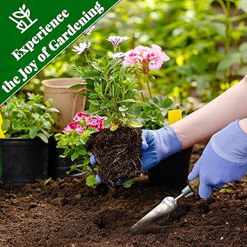Narrow Garden Trowel for Seed Planting, Stainless Steel with Depth Markings