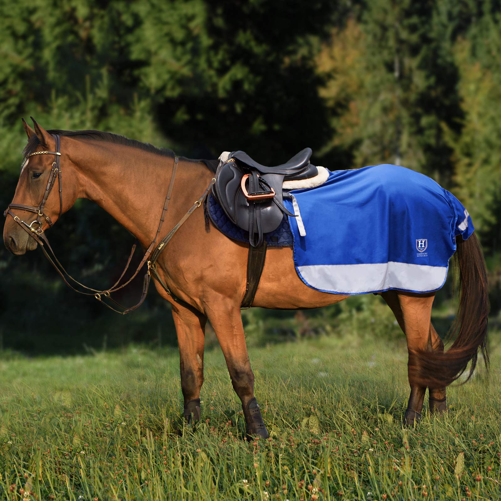 Harrison Howard Quarter Horse Fleece and Mesh Exercise Sheet Breathable Comfort Turnout Horse Blanket Hi-Viz Competition Rug Champion Blue L