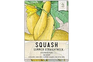 Seed Needs - Straightneck Squash Seeds - Heirloom Summer Squash Seeds