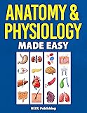 Cover of Anatomy & Physiology Made Easy: An Illustrated Study Guide for Students To Easily Learn Anatomy and Physiology