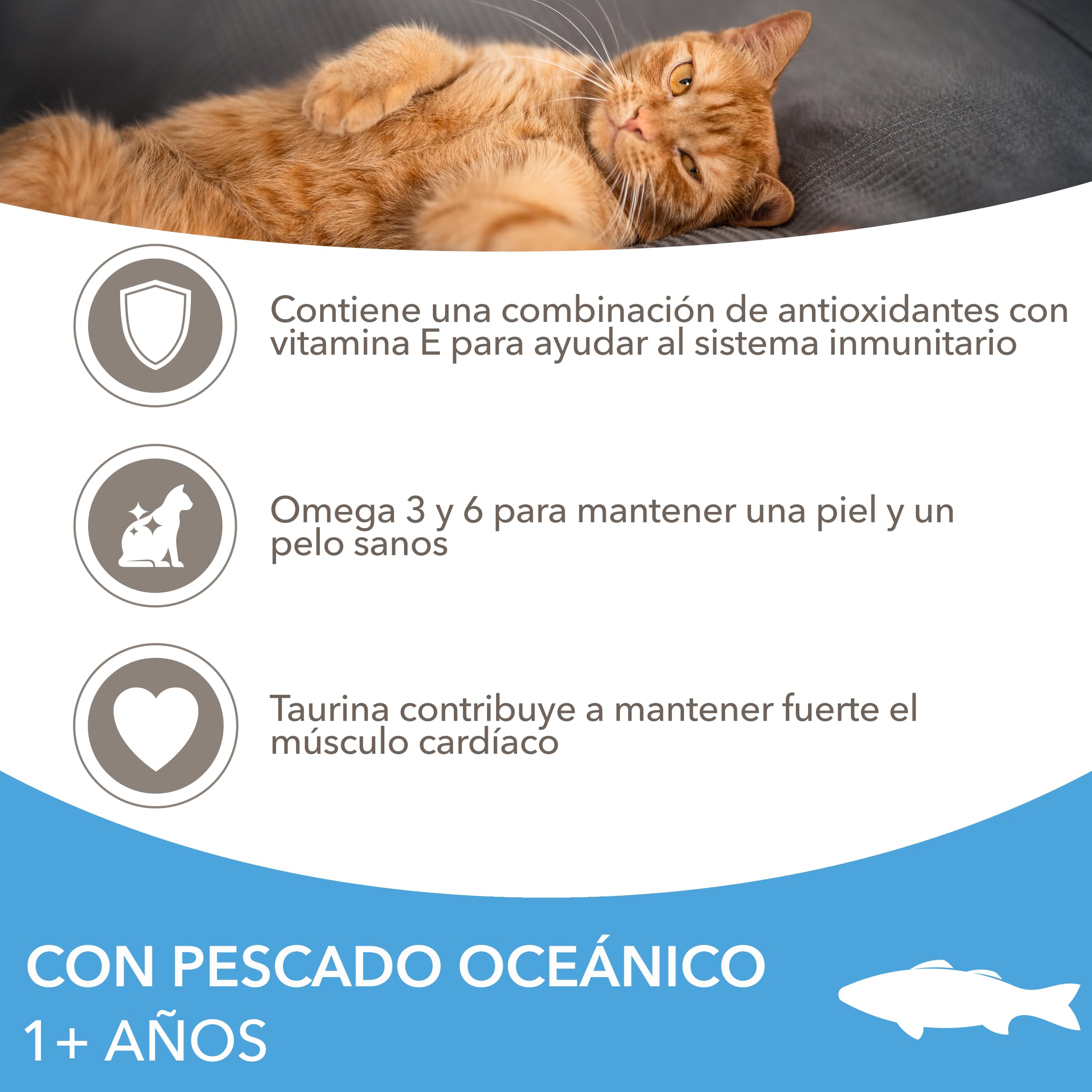 IAMS Alimento seco para Gatos con Pescado oceánico, Comida Seca para Gatos Adultos de más de 1 año, 3 kg