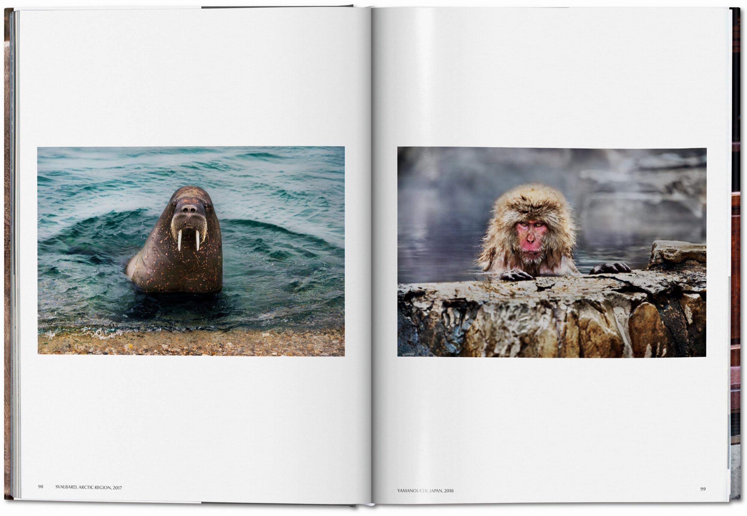 Steve McCurry. Animals: Mehrsprachige Ausgabe