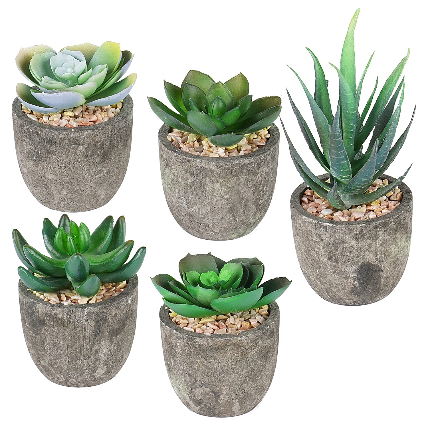 690GRAND Artificial Succulent Plants Set of 5
