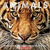 Animals: Witness Life in the Wild Featuring 100s of Species Paperback – Illustrated, October 1, 2019