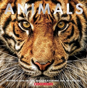Animals Witness Life in the Wild Featuring 100s of Species