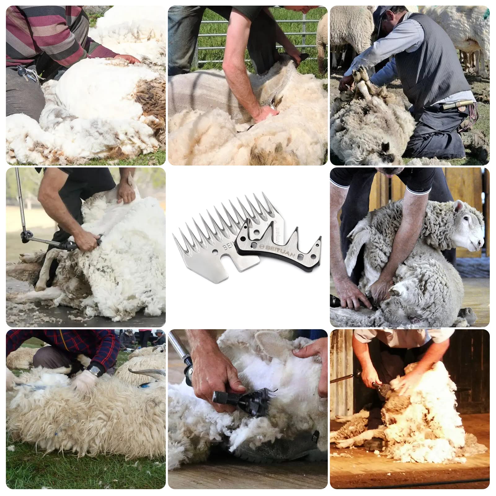 Lames de Cisailles à Moutons en Acier Inoxydable Peigne Lames de Remplacement pour Tondeuse à Mouton (13 Teeth Stright)