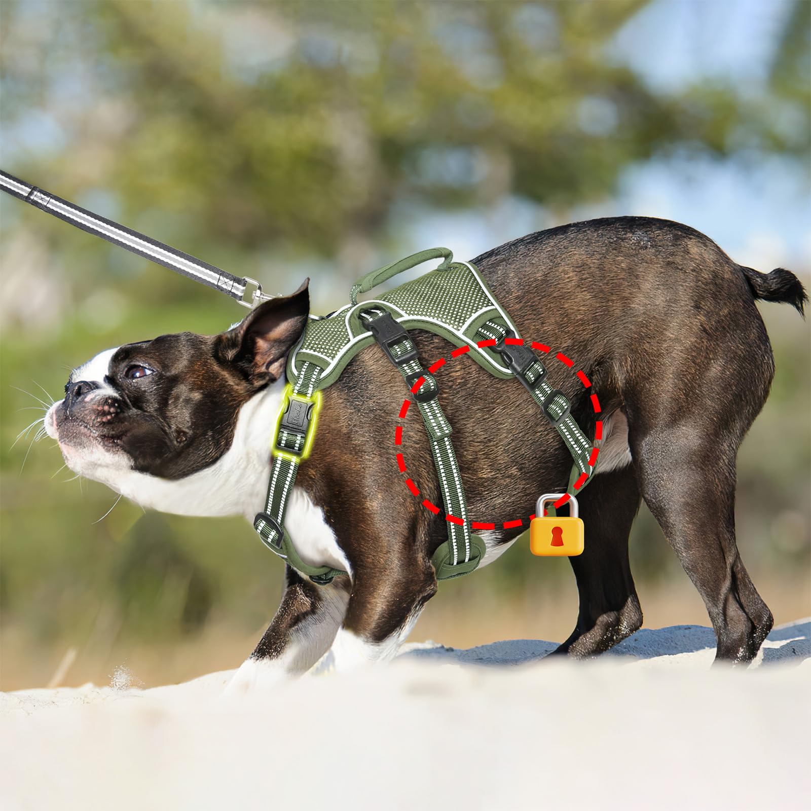 HEELE Pettorina per Cani a prova di fuga, Sgancio Rapido sul Collo, Gilet Regolabile Riflettente con Maniglia Resistente, Pettorina per Cani Grandi/Attivi per Addestramento all'aperto, Verde, XL | Pettorina Regolabile Riflettente con Maniglia Resistente p