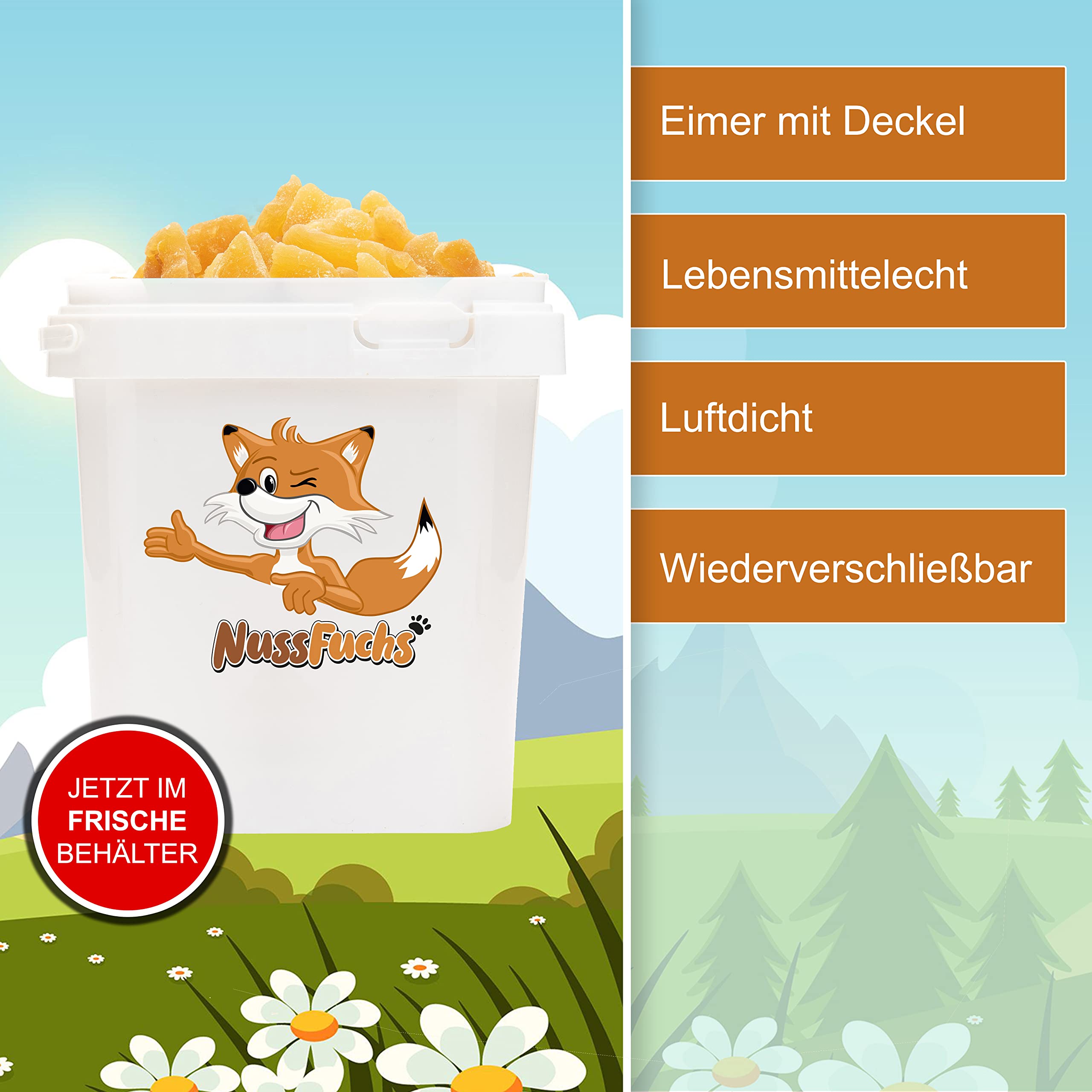 Ingwerstücke leicht kandiert scharf 3kg - Ingwerwürfel vegan naturbelassen ungeschwefelt getrocknet 100% Natur