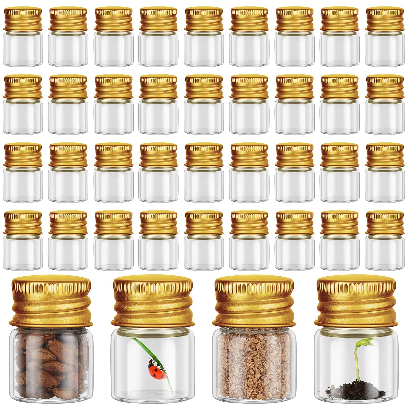 Tessco for you 100 Pcs 5 ml Mini Glass Bottles with Aluminum Cap, Gold