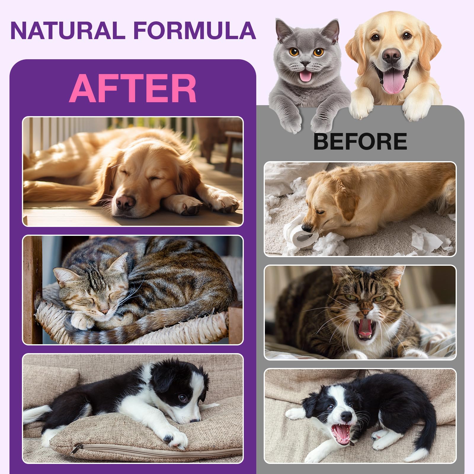 Melatonina para Mascotas, Melatonina para Perros y Gatos, 60 ml*2 Pastillas para Dormir para Perros, Ayuda a aliviar la ansiedad y el estrés, promueve la relajación y el sueño Profundo, Sabor a Pollo