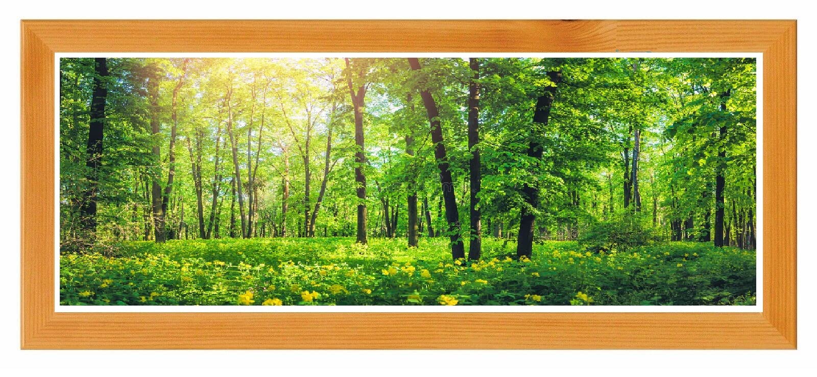 Flat Photo Frames Panoramic Picture Framers Real Wood Poster Frames Pine 15cm x 30cm Acrylic Glass Wall Decoration Frames