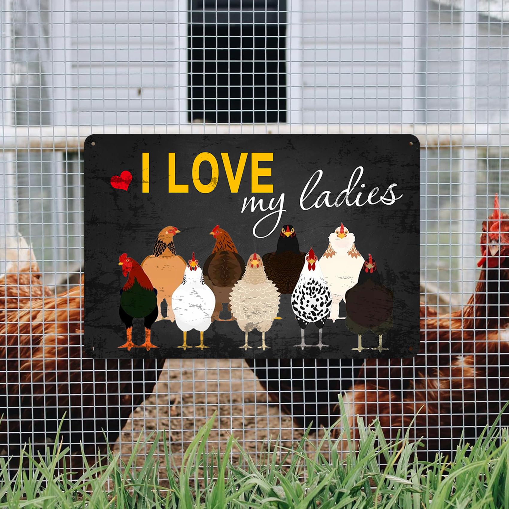 Targa In Metallo Retrò I Love My Ladies Per Pollaio – Cartello Umoristico Con Galline, 20x30 Cm, Decorazione Per Esterni - 5