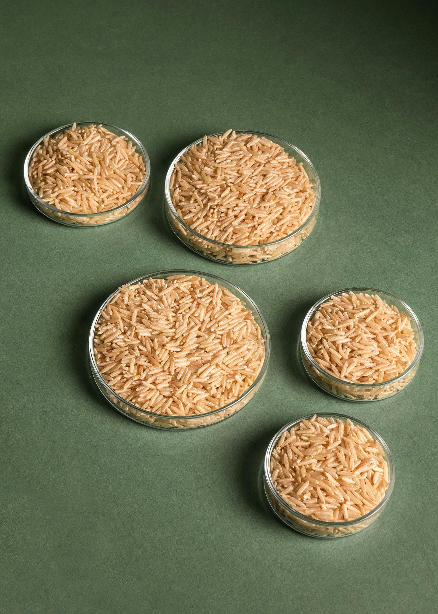 KoRo - Riz Basmati biologique brun 5 kg - Arôme intense - Goût de noisette - Consistance moelleuse