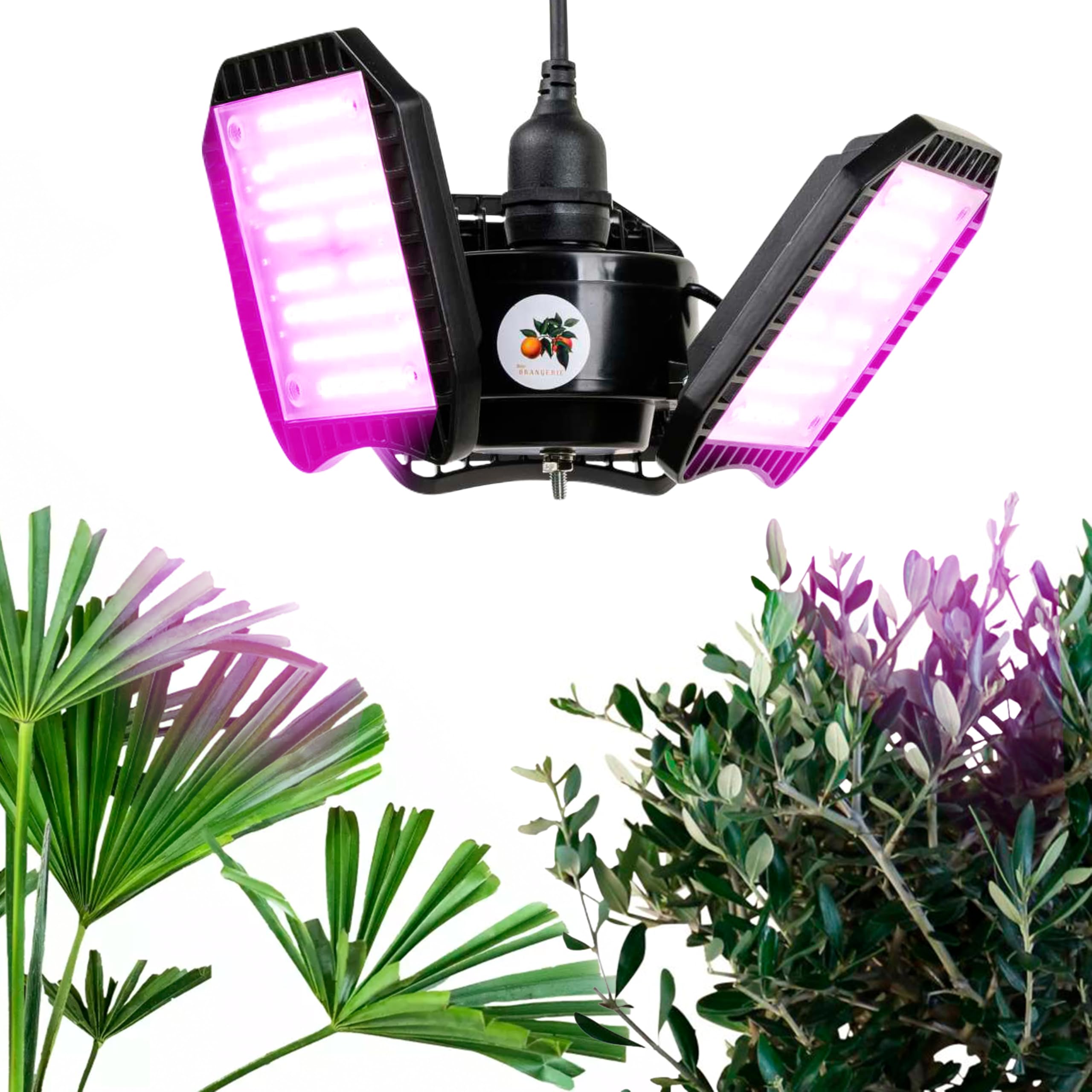 Meine Orangerie - Lampe LED FLEX [100W] - LED pour plantes à spectre complet - Hivernage des plantes méditerranéennes