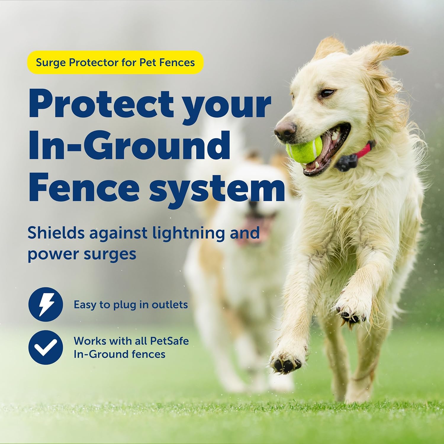 A golden retriever running happily in a grassy yard, with text indicating the surge protector shields against lightning and power surges for in-ground fence systems.