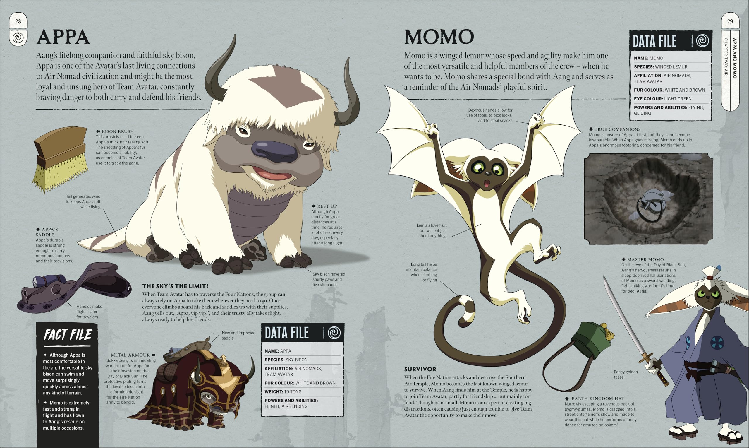 Avatar The Last Airbender Visual Dictionary